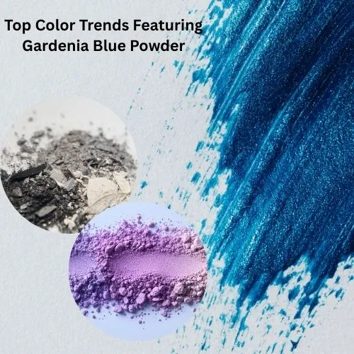 gardenia blue powder trend gardenia blue powder trend