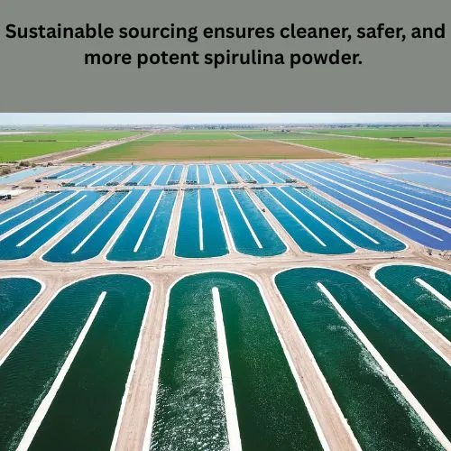 blue spirulina quality blue spirulina quality