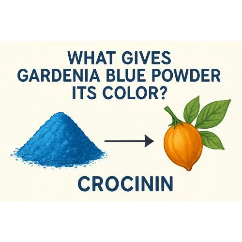 gardenia blue pigment powder color gardenia blue pigment powder color