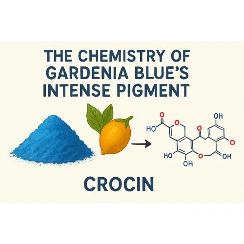 Gardenia Blue's Intense Pigment