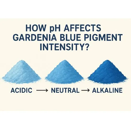 blue gardenia pigment intensity blue gardenia pigment intensity