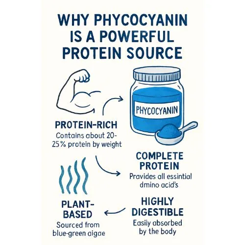 Phycocyanin is pwerful Phycocyanin is pwerful