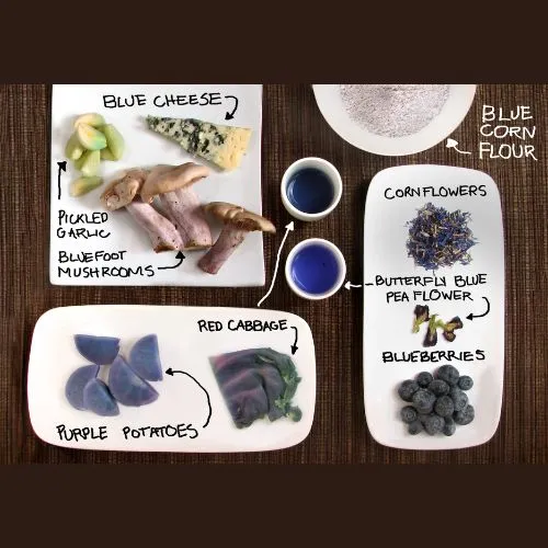 gardenia  Synthetic Blue Colorants