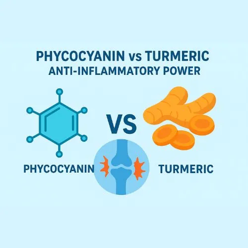 phycocyanin powder inflammatory