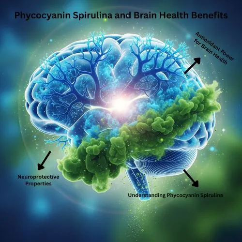 phycocyanin powder brain benefits phycocyanin powder brain benefits