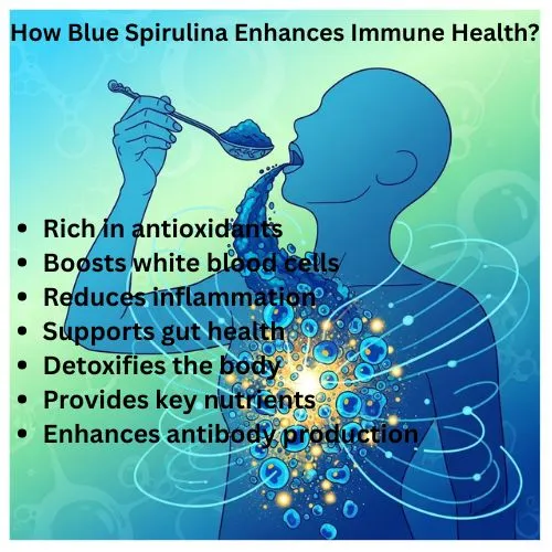 blue spirulina for immune blue spirulina for immune