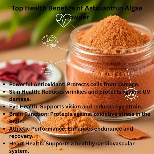 astaxanthin powder benefits