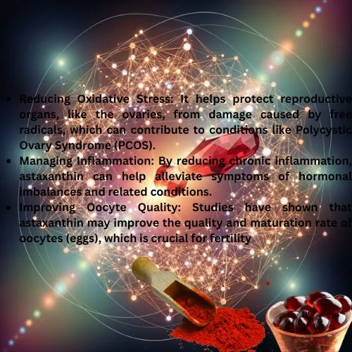Reducing Oxidative Stress: It helps protect reproductive organs, like the ovaries, from damage caused by free radicals, which can contribute to conditions like Polycystic Ovary Syndrome (PCOS). Managing Inflammation: By reducing chronic inflammation, astaxanthin can help alleviate symptoms of hormonal imbalances and related conditions. Improving Oocyte Quality: Studies have shown that astaxanthin may improve the quality and maturation rate of oocytes (eggs), which is crucial for fertility Reducing Oxidative Stress: It helps protect reproductive organs, like the ovaries, from damage caused by free radicals, which can contribute to conditions like Polycystic Ovary Syndrome (PCOS). Managing Inflammation: By reducing chronic inflammation, astaxanthin can help alleviate symptoms of hormonal imbalances and related conditions. Improving Oocyte Quality: Studies have shown that astaxanthin may improve the quality and maturation rate of oocytes (eggs), which is crucial for fertility