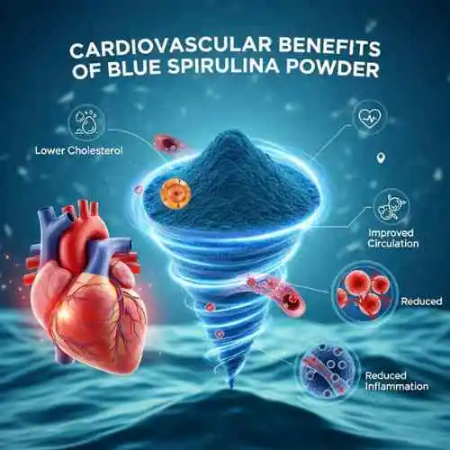 Cardiovascular Benefits of Blue Spirulina Powder