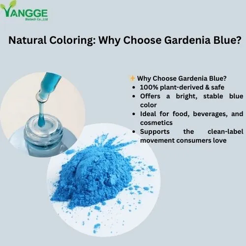 garden blue powder why choose