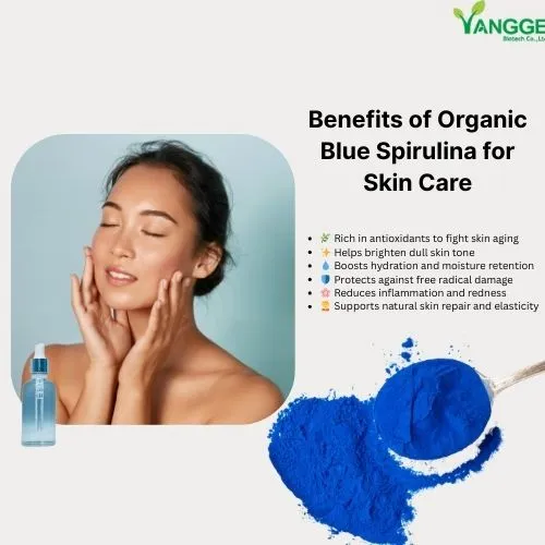 Organic Blue spirulina powder for skin