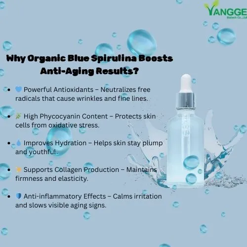 Organic Blue spirulina powder  anti aging