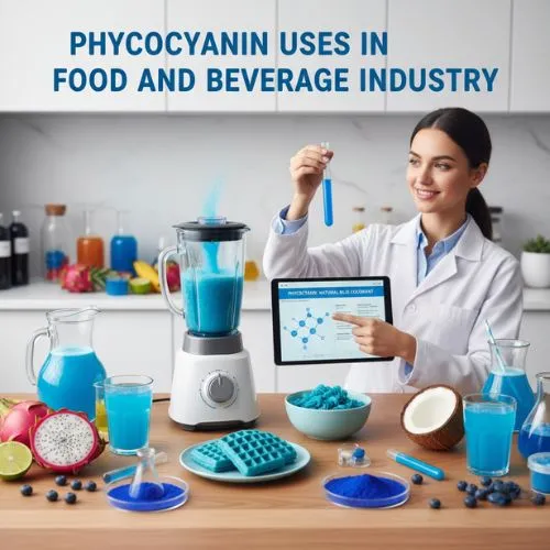 Phycocyanin Uses in Food and Beverage Industry
