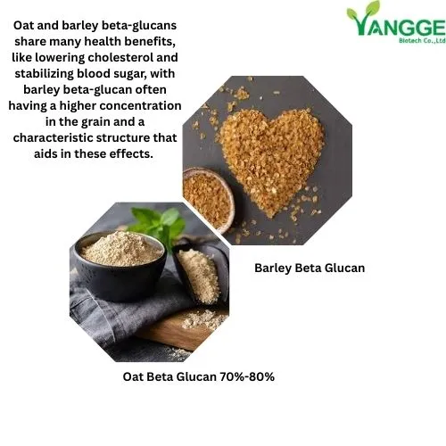 oat beta glucan powder vs barley oat beta glucan powder vs barley