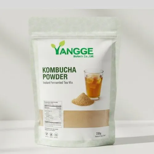 kombucha powder in yangge kombucha powder in yangge