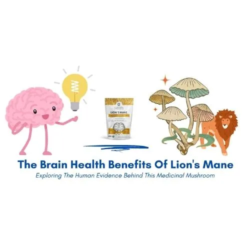 What does lion's mane do for the brain