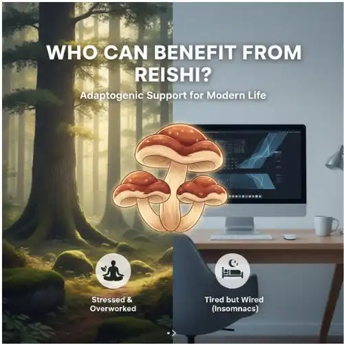 Who Can Benefit from Reishi