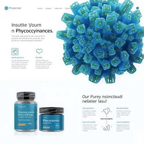 Company Introduction and Our Phycocyanin Product Solutions