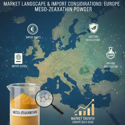 Market Landscape and Import Considerations in Europe (1)