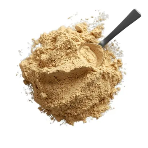 kombucha powder1 (2)