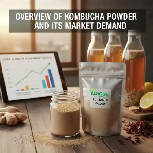 kombucha powder demand