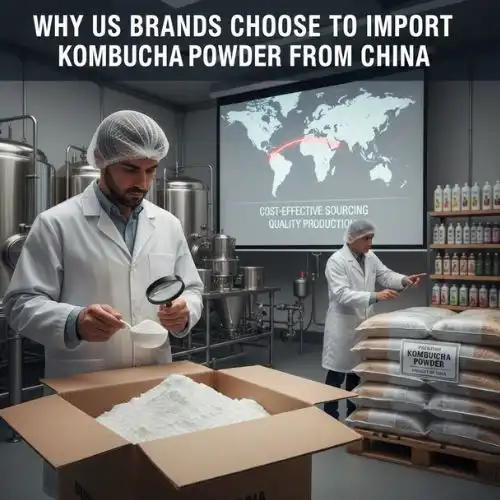 Why US Brands Choose to Import Kombucha Powder from China Why US Brands Choose to Import Kombucha Powder from China