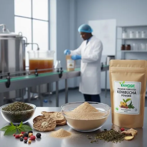 Ensuring Quality and Safety in Imported Kombucha Powder Ensuring Quality and Safety in Imported Kombucha Powder