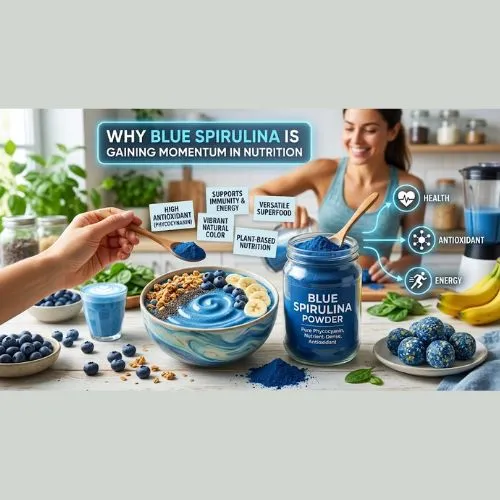 Why Blue Spirulina Powder Is Gaining Momentum in the Nutrition Industry Why Blue Spirulina Powder Is Gaining Momentum in the Nutrition Industry