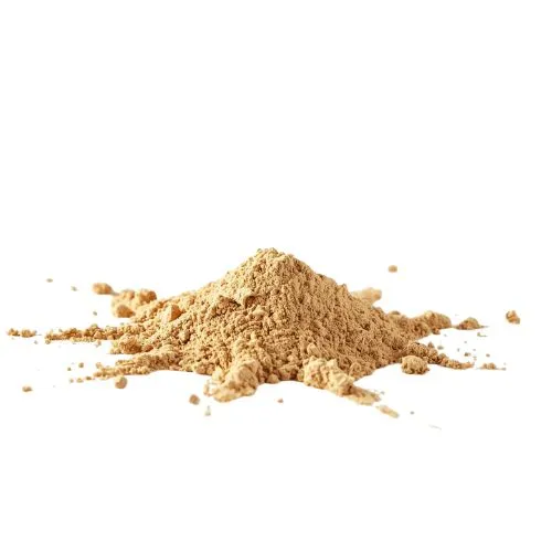 Shiitake Mushroom Extract (1) Shiitake Mushroom Extract (1)