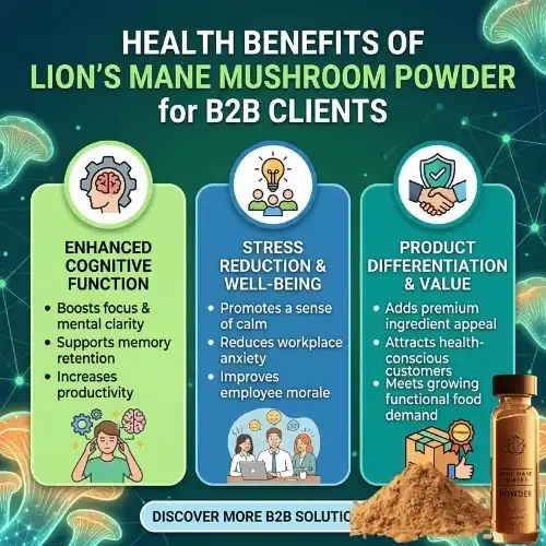 benefits lions mane powder benefits lions mane powder