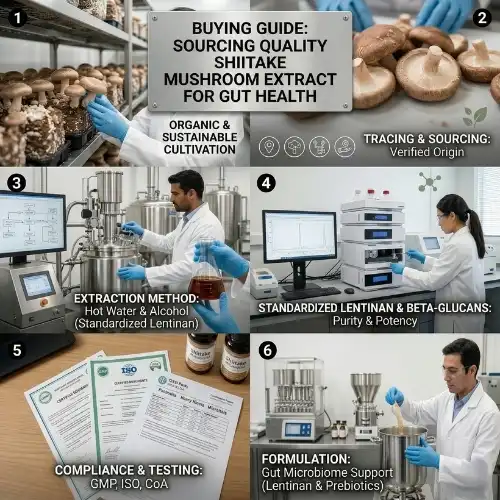 _Shiitake Mushroom Extract for Gut Health Products