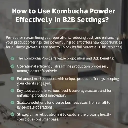kombucha b2b
