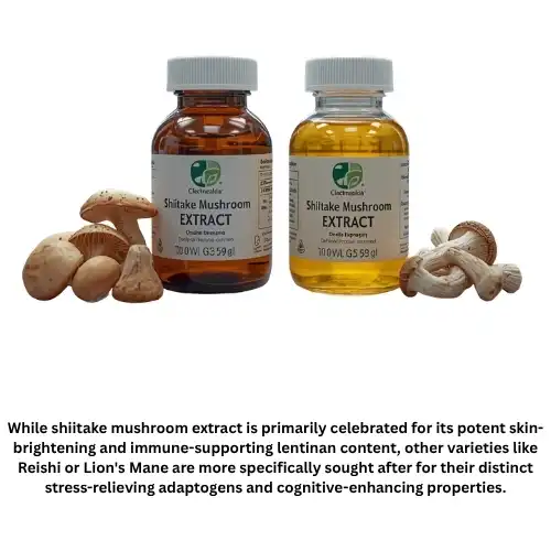 Shiitake Mushroom extracts Shiitake Mushroom extracts