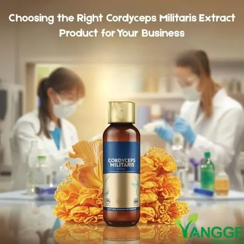 Choosing the Right Cordyceps Militaris Extract Product for Your Business