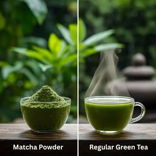 Understanding Matcha Powder and Regular Green Tea Understanding Matcha Powder and Regular Green Tea