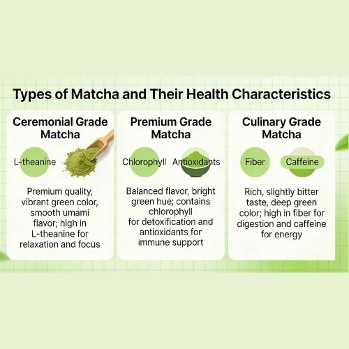 Types of Matcha and Their Health Characteristics
