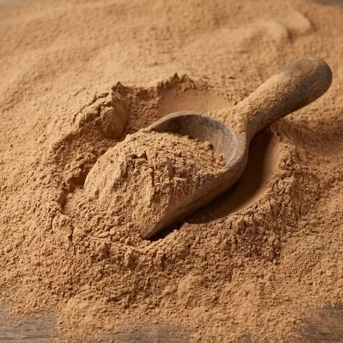chaga extract powder (3)