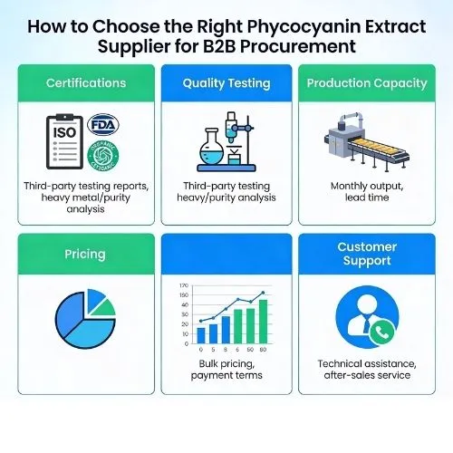 How to Choose the Right Phycocyanin Extract Supplier for B2B Procurement