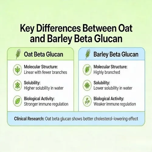 Beta glucan powder key difference