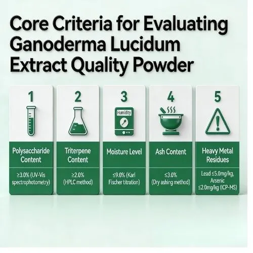Core Criteria for Evaluating Ganoderma Lucidum Extract Quality