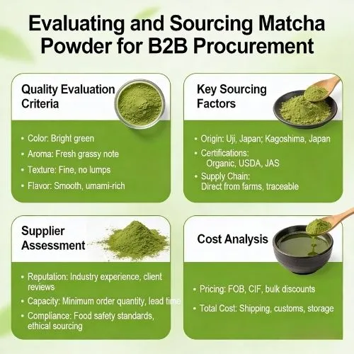 Evaluating and Sourcing Matcha Powder for B2B Procurement