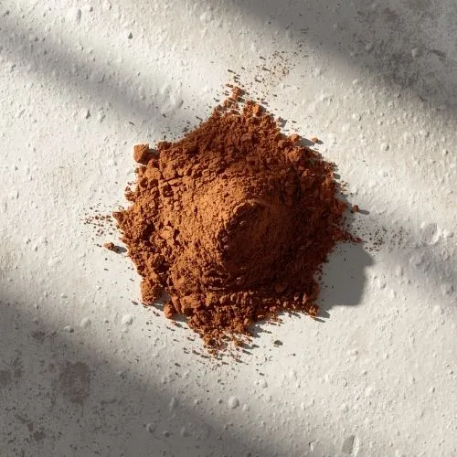 chaga extract powder chaga extract powder
