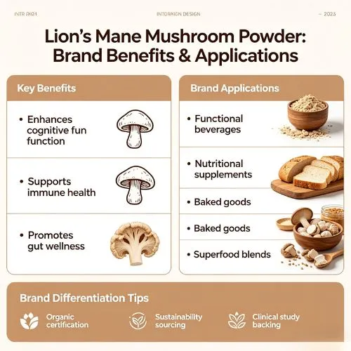 Lion's Mane Mushroom Powder Benefits and Applications for Brands Lion's Mane Mushroom Powder Benefits and Applications for Brands