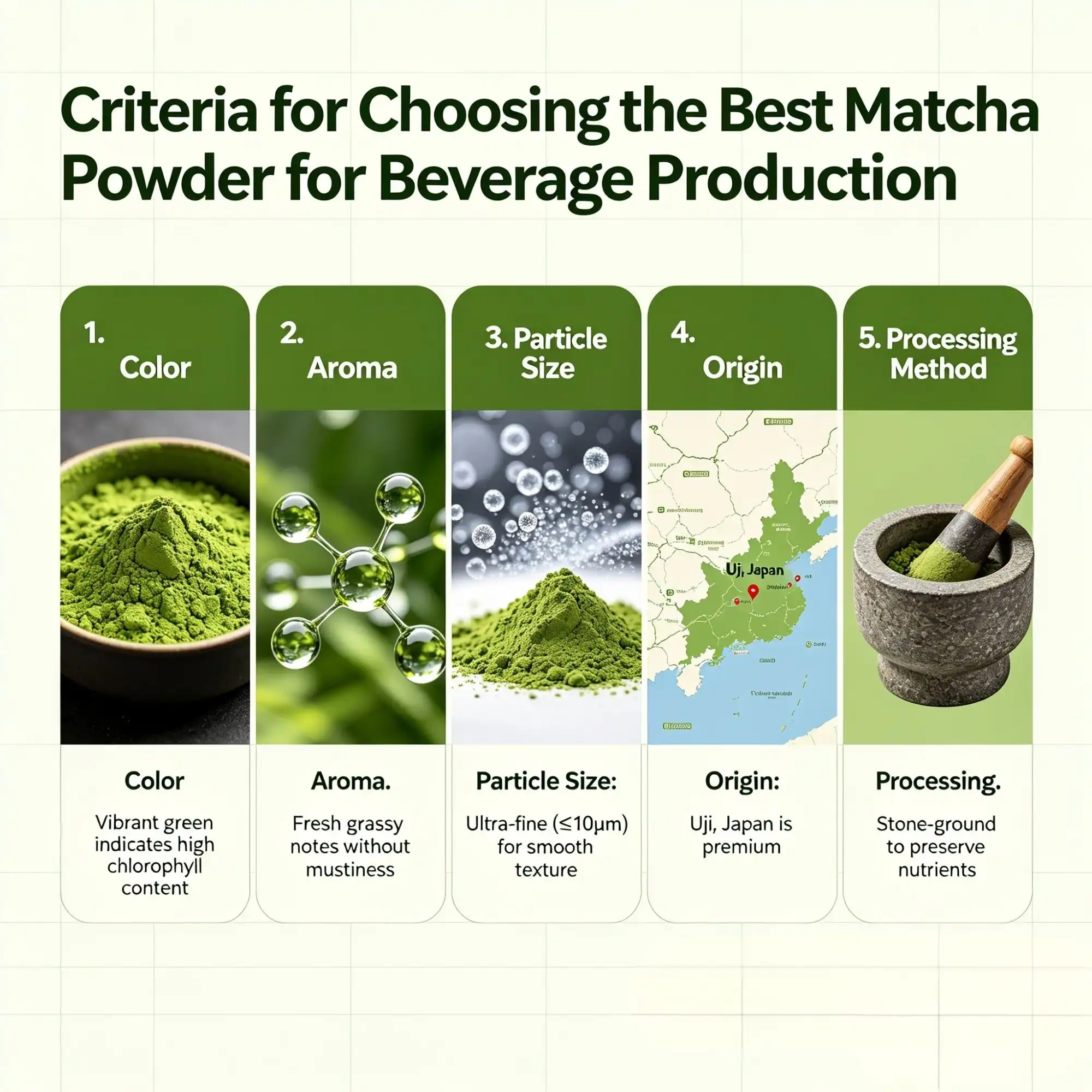 Criteria for Choosing the Best Matcha Powder for Beverage Production