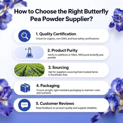 How to Choose the Right Butterfly Pea Powder Supplier (1) How to Choose the Right Butterfly Pea Powder Supplier (1)