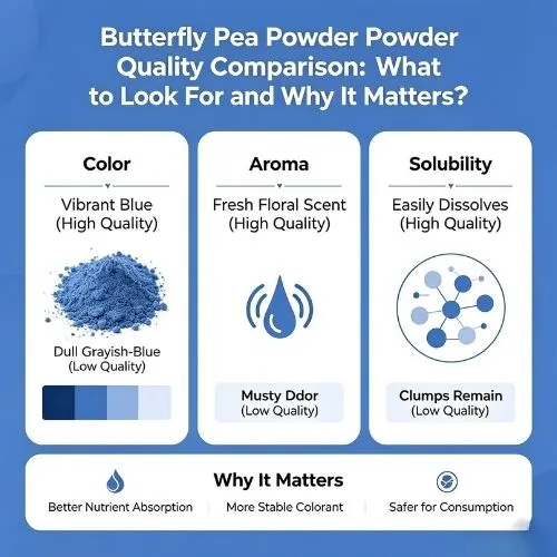 Butterfly Pea Powder Quality Comparison What to Look For and Why It Matters Butterfly Pea Powder Quality Comparison What to Look For and Why It Matters