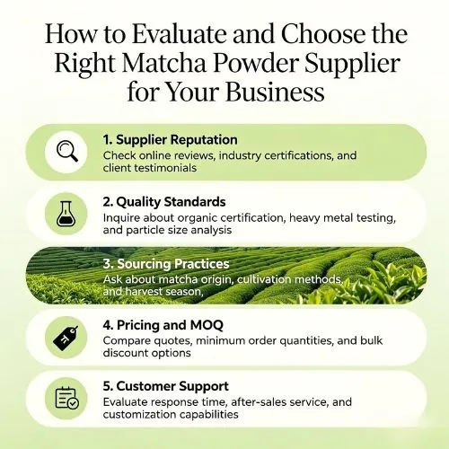 How to Evaluate and Choose the Right Matcha Powder Supplier for Your Business