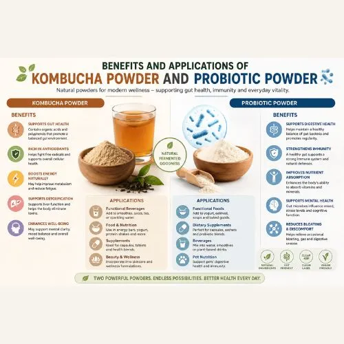 Benefits and Applications of Kombucha Powder and Probiotic Powder