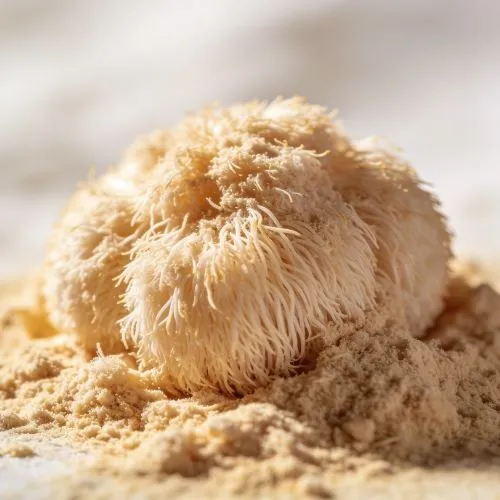 lions mane powder (2) lions mane powder (2)