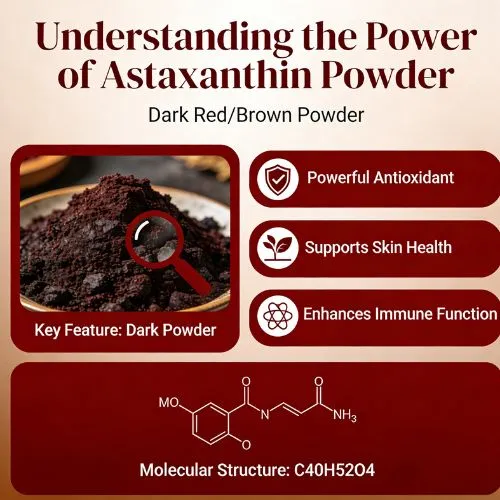 Understanding the Power of Astaxanthin Powder Understanding the Power of Astaxanthin Powder